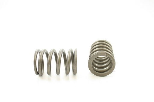 Engine Valve Spring Pioneer RV-1193