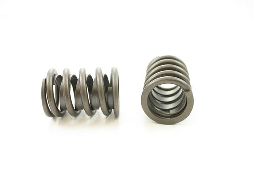 Engine Valve Spring Pioneer RV-1195-X