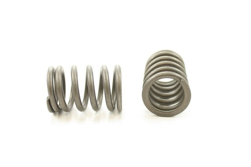 Engine Valve Spring Pioneer RV-1197
