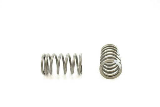 Engine Valve Spring Pioneer RV-1198