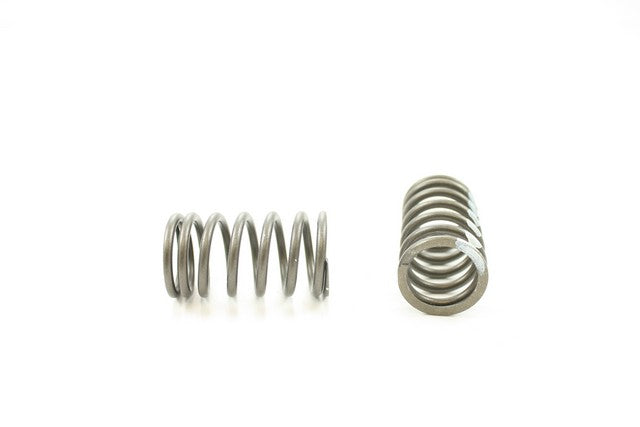 Engine Valve Spring Pioneer RV-1198