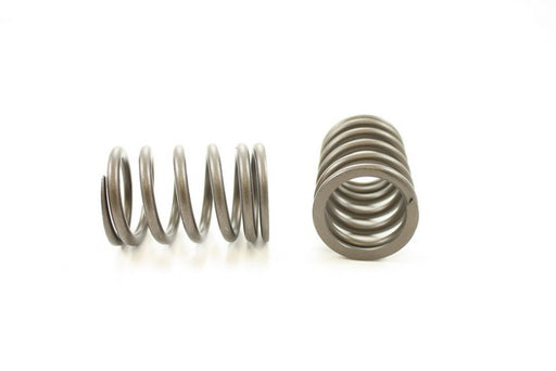 Engine Valve Spring Pioneer RV-1199