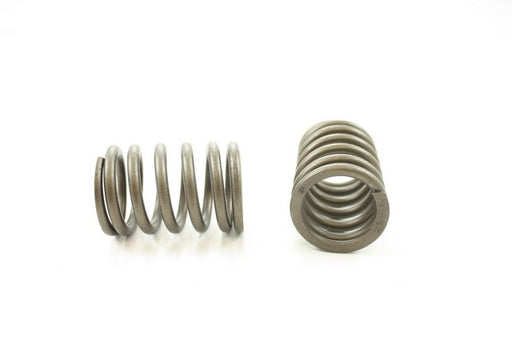 Engine Valve Spring Pioneer RV-1200