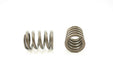 Engine Valve Spring Pioneer RV-1201