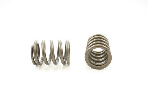 Engine Valve Spring Pioneer RV-1201