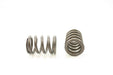 Engine Valve Spring Pioneer RV-1202
