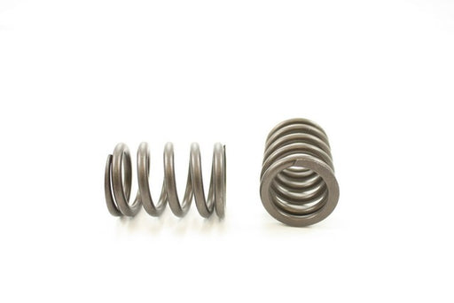 Engine Valve Spring Pioneer RV-1202