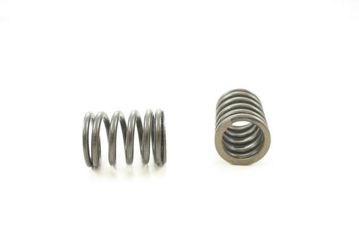 Engine Valve Spring Pioneer RV-1203