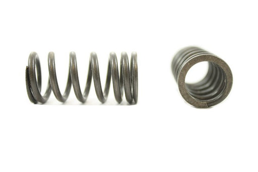 Engine Valve Spring Pioneer RV-1204