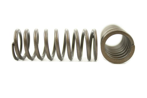 Engine Valve Spring Pioneer RV-1206