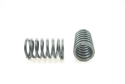 Engine Valve Spring Pioneer RV-1208