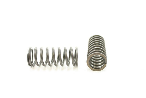 Engine Valve Spring Pioneer RV-1209