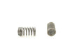 Engine Valve Spring Pioneer RV-1213