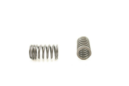 Engine Valve Spring Pioneer RV-1213