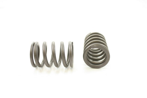 Engine Valve Spring Pioneer RV-1218