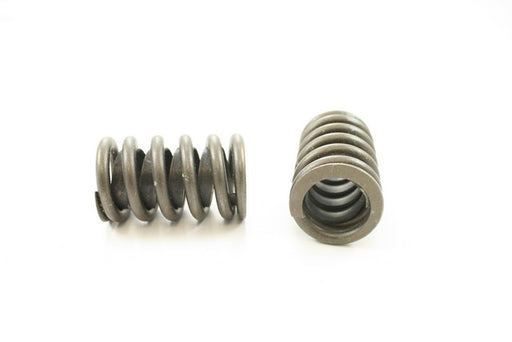 Engine Valve Spring Pioneer RV-1220-X