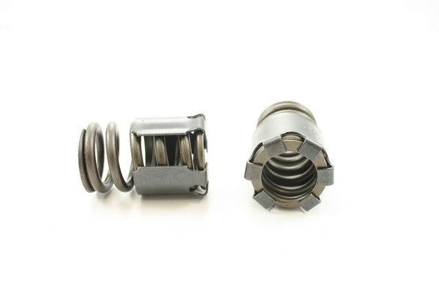 Engine Valve Spring Pioneer RV-1233-X