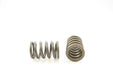 Engine Valve Spring Pioneer RV-1234