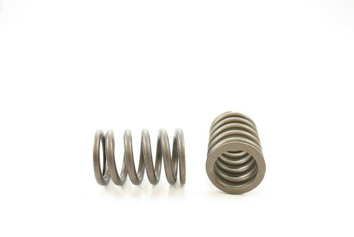 Engine Valve Spring Pioneer RV-1234