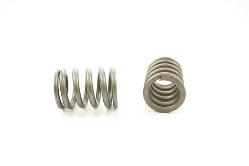 Engine Valve Spring Pioneer RV-1242