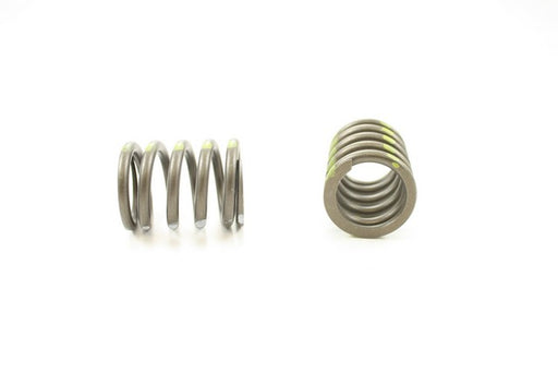 Engine Valve Spring Pioneer RV-1245