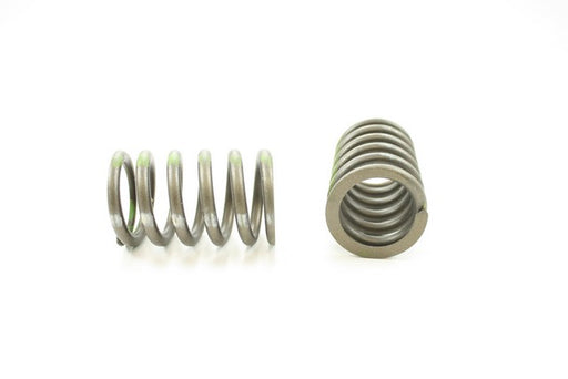 Engine Valve Spring Pioneer RV-1246