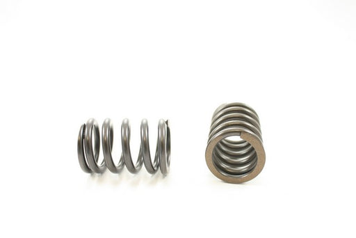 Engine Valve Spring Pioneer RV-1247