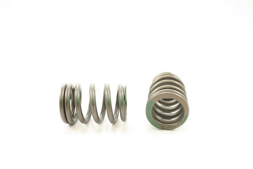 Engine Valve Spring Pioneer RV-1248