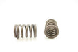 Engine Valve Spring Pioneer RV-1250