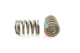Engine Valve Spring Pioneer RV-1254