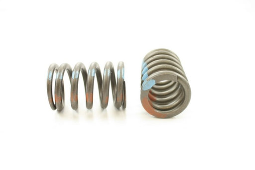 Engine Valve Spring Pioneer RV-1254