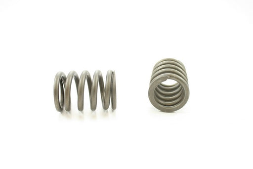 Engine Valve Spring Pioneer RV-1258