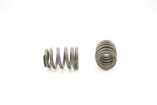 Engine Valve Spring Pioneer RV-1265