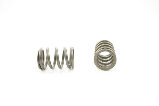 Engine Valve Spring Pioneer RV-1269