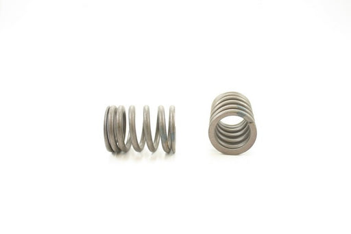 Engine Valve Spring Pioneer RV-1271