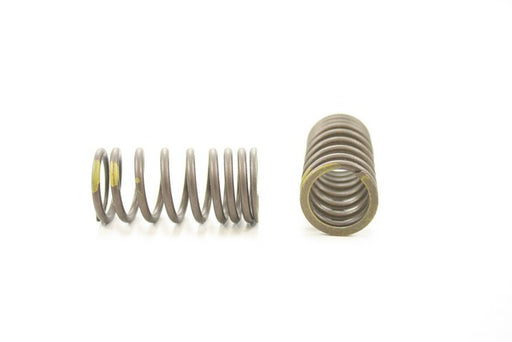 Engine Valve Spring Pioneer RV-1275