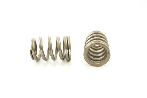 Engine Valve Spring Pioneer RV-1278