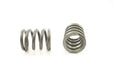 Engine Valve Spring Pioneer RV-1280