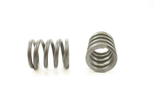 Engine Valve Spring Pioneer RV-1280