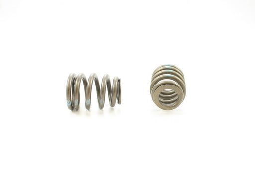 Engine Valve Spring Pioneer RV-1282