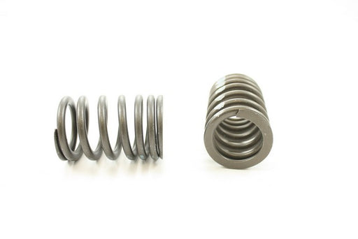 Engine Valve Spring Pioneer RV-1289