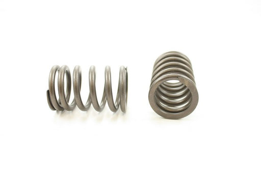Engine Valve Spring Pioneer RV-1290