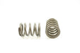 Engine Valve Spring Pioneer RV-1299