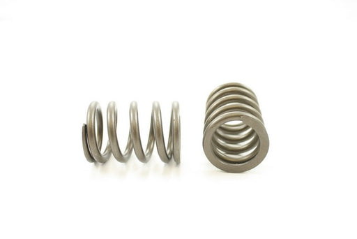 Engine Valve Spring Pioneer RV-1299