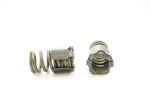 Engine Valve Spring Pioneer RV-1302-X