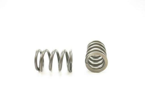 Engine Valve Spring Pioneer RV-1303
