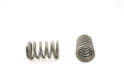 Engine Valve Spring Pioneer RV-1304