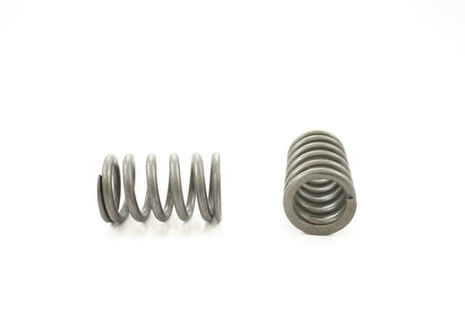 Engine Valve Spring Pioneer RV-1304