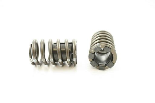 Engine Valve Spring Pioneer RV-1305-X