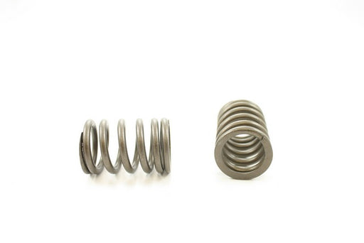 Engine Valve Spring Pioneer RV-1309